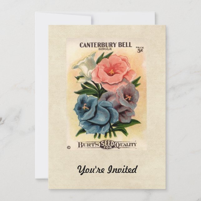 Vintage Canterbury Bells Flower Seed Packet Invitation (Front)