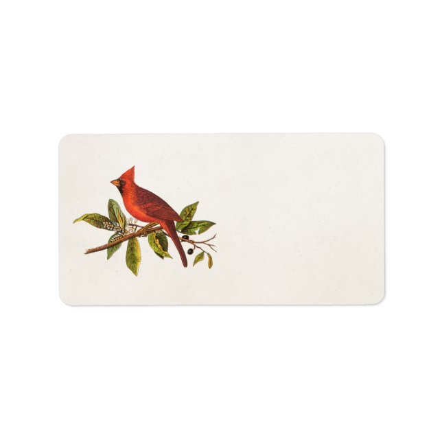 Vintage Cardinal Song Bird Illustration - 1800's Label (Front)