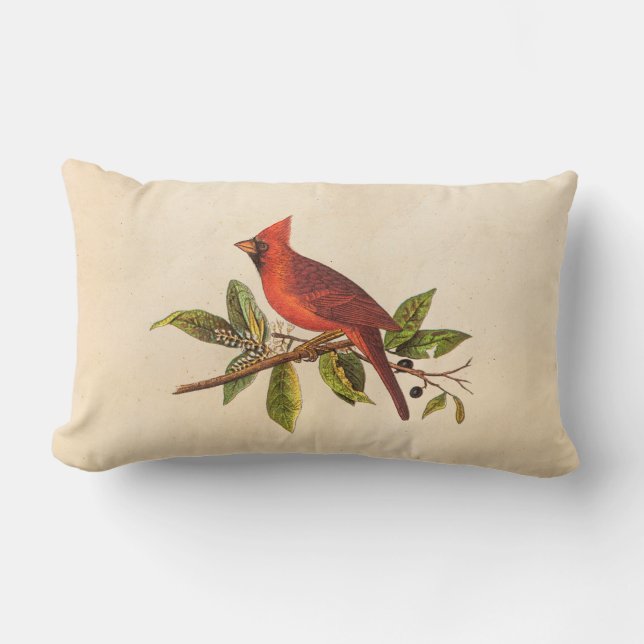 Vintage Cardinal Song Bird Illustration - 1800's Lumbar Cushion (Front)