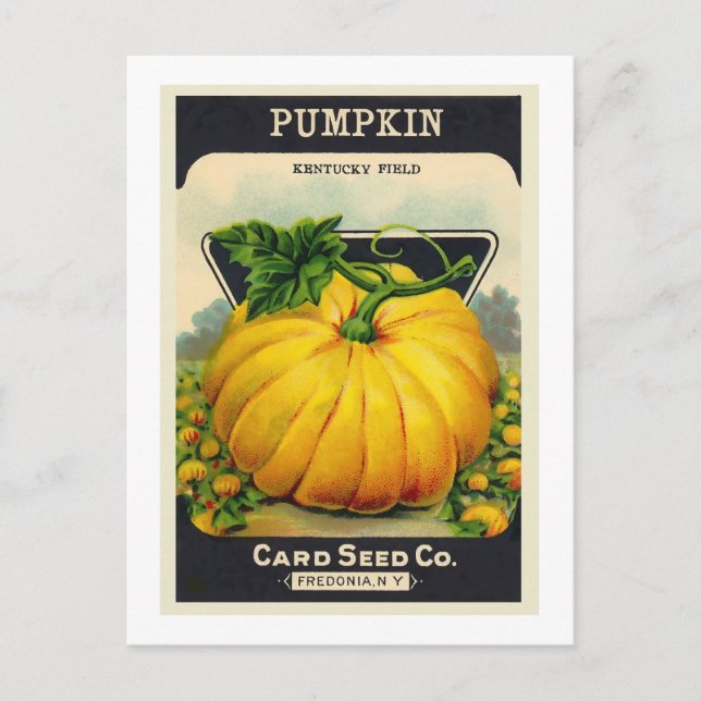 Vintage Card's Pumpkin Seed Package Postcard (Front)