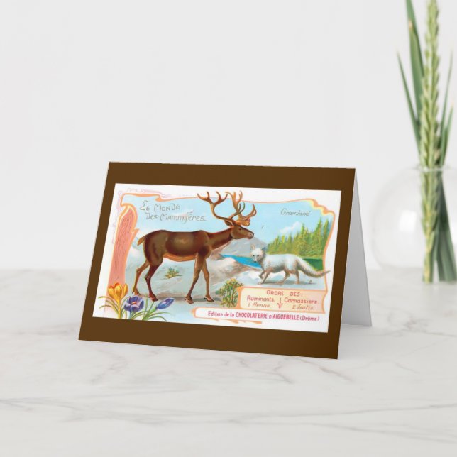 Vintage Caribou (Reindeer) and Arctic Fox Holiday Card (Front)