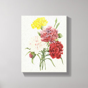Vintage Carnations Dianthus Garden Flowers Redoute Canvas Print