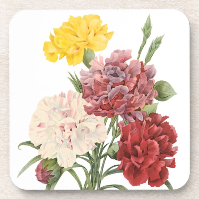 Vintage Carnations Dianthus Garden Flowers Redoute Coaster (Front)