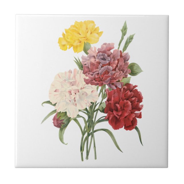 Vintage Carnations Dianthus Garden Flowers Redoute Tile (Front)