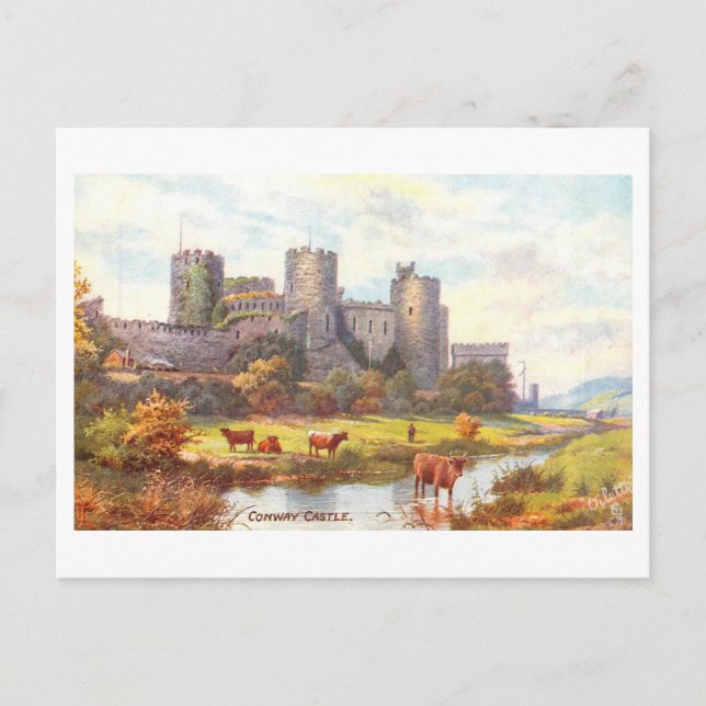 Vintage Castle Conwy  Postcard (Front)