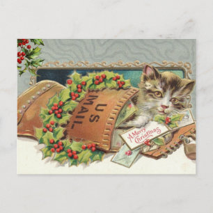 Vintage Cat and Holly Berry  Holiday Postcard