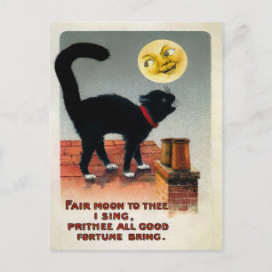 Vintage Cat and Moon Postcard