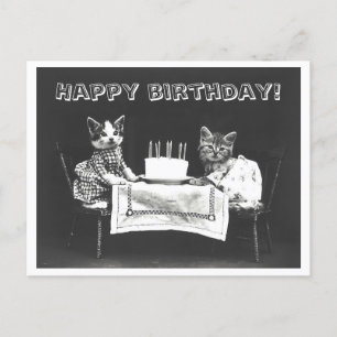 Vintage Cat Birthday Cake Oddity Postcard