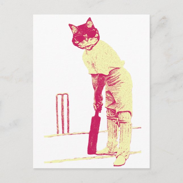 vintage cat cricketer postcard (Front)