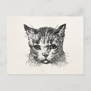 Vintage Cat Head Cats Kitten Kittens Animal Retro Postcard