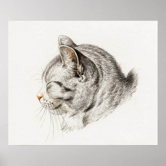 Vintage Cat Illustration Poster (Front)
