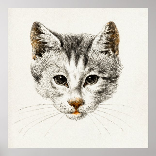 Vintage Cat Illustration Poster (Front)