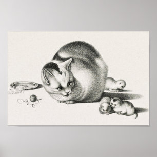 Vintage Cat Illustration Poster