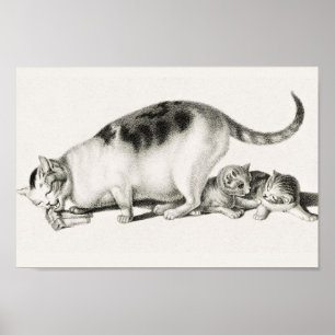 Vintage Cat Illustration Poster