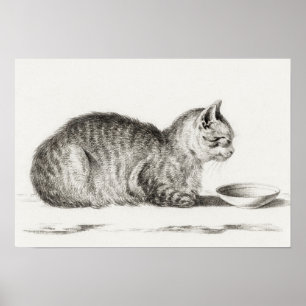 Vintage Cat Illustration Poster