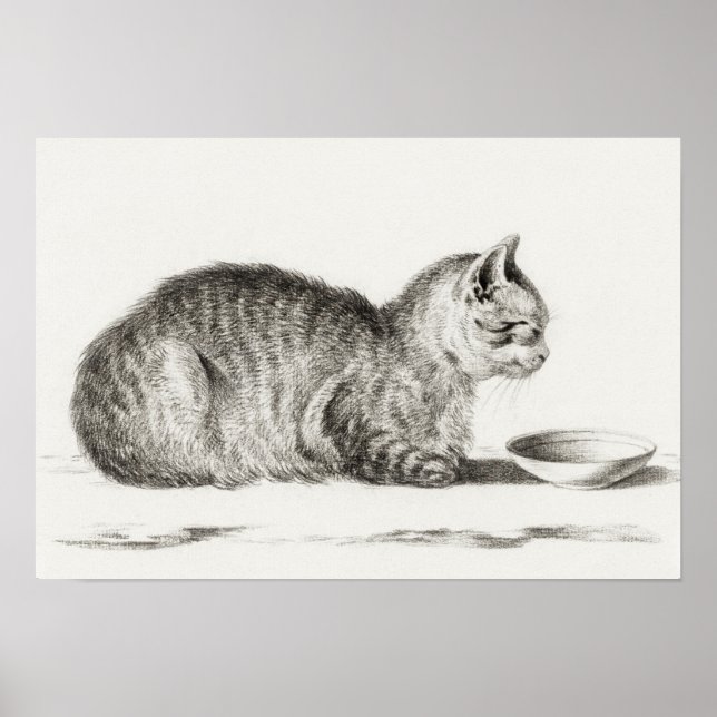 Vintage Cat Illustration Poster (Front)