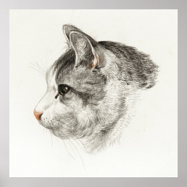 Vintage Cat Illustration Poster (Front)