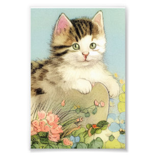 Vintage Cat Illustration with Pink Flowers Photo Print