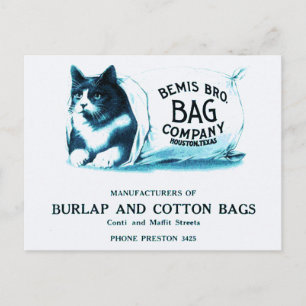Vintage Cat in Bag Postcard