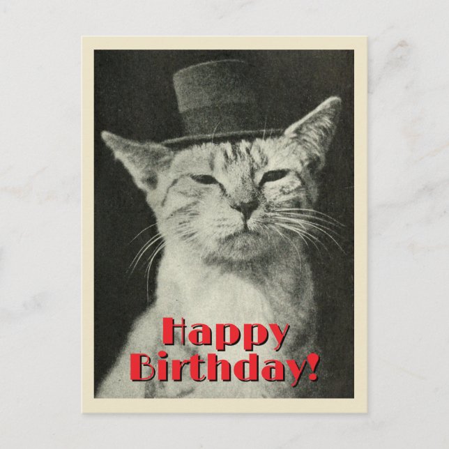 Vintage Cat in Top Hat Happy Birthday Postcard (Front)