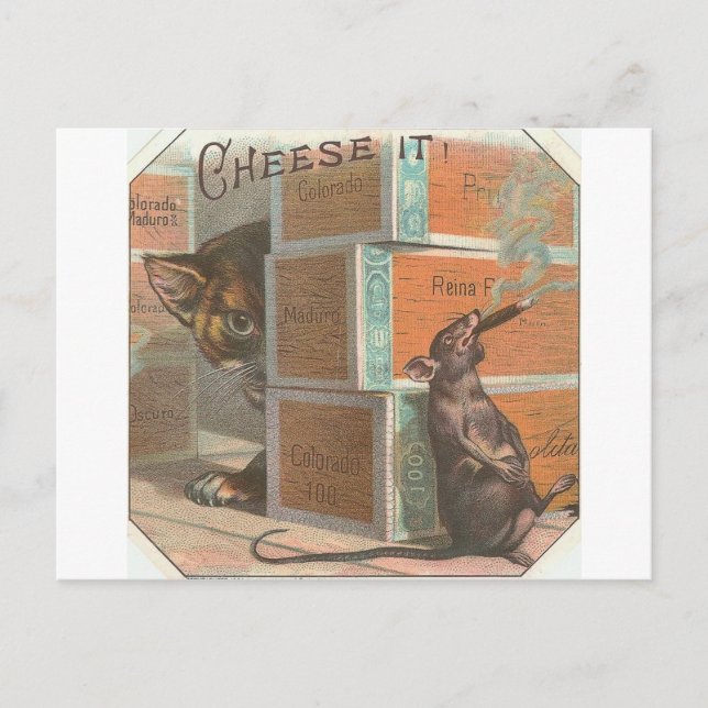 Vintage Cat Looking At Smoking Rat Postcard (Front)