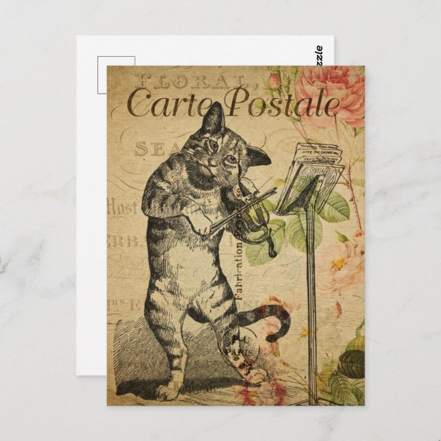 Vintage Cat Playing Violin Postcard (Front/Back)