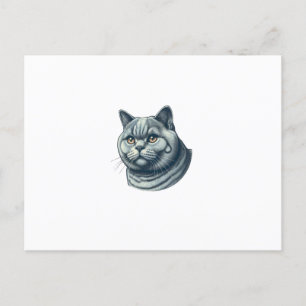 vintage cat postcard