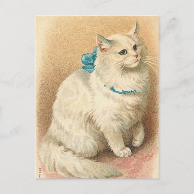 vintage cat postcards (Front)