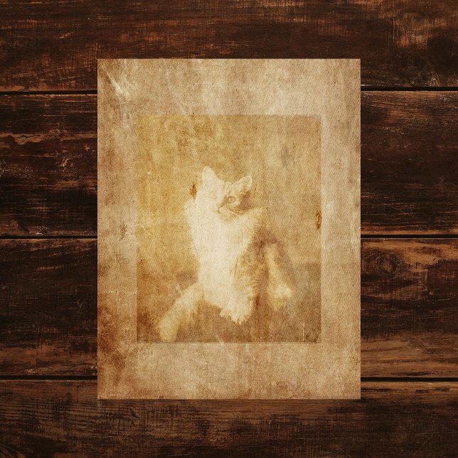 Vintage Cat Scrapbook Paper (Creator Uploaded)