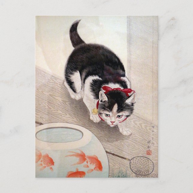 Vintage cat with goldfish postcard (Front)