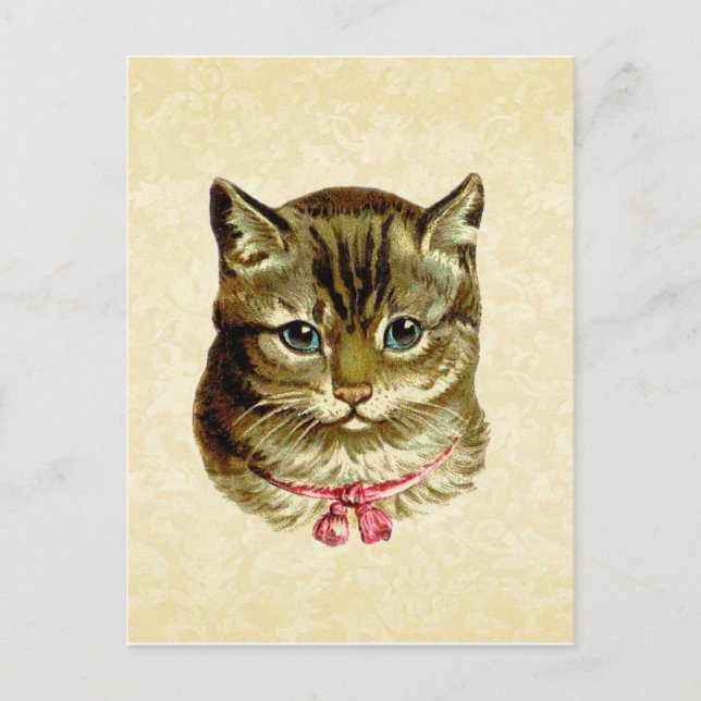 Vintage Cat with Pink Bow Postcard (Front)