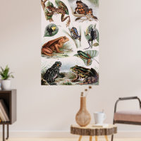 Vintage Catalog of Frogs and Toads