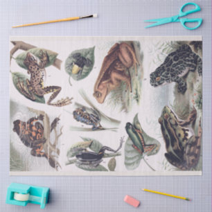 Vintage Catalog of Frogs Decoupage  Tissue Paper