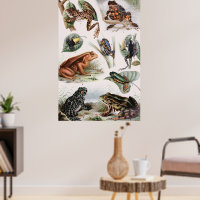 Vintage catalogue of frogs Poster