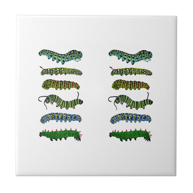 Vintage Caterpillar Illustration Mug  Tile (Front)