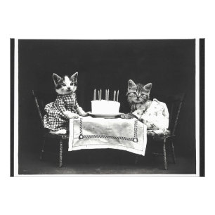 Vintage Cats at a Birthday Party Photo Print