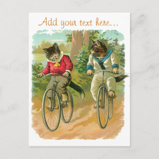 Vintage Cats on Bicycle Postcard