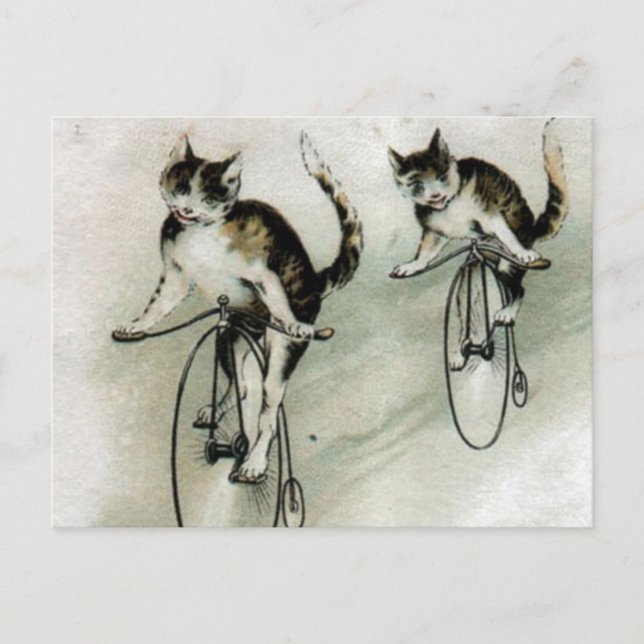 Vintage Cats on Bikes Postcard (Front)