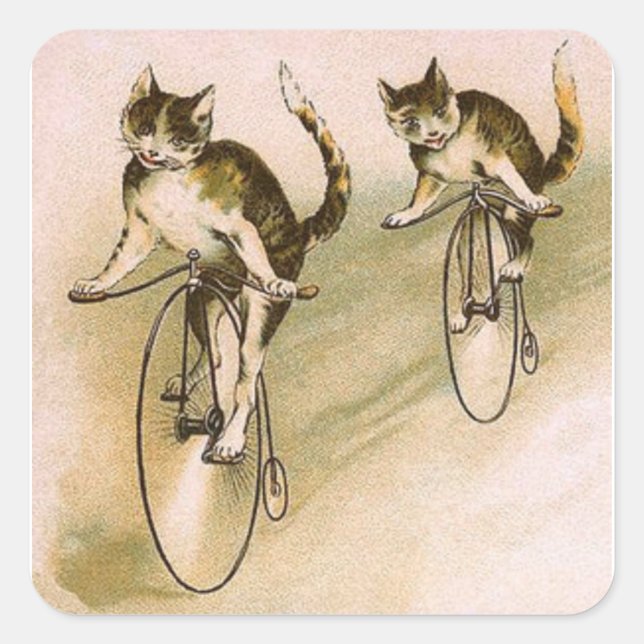 Vintage Cats on Bikes Square Sticker (Front)