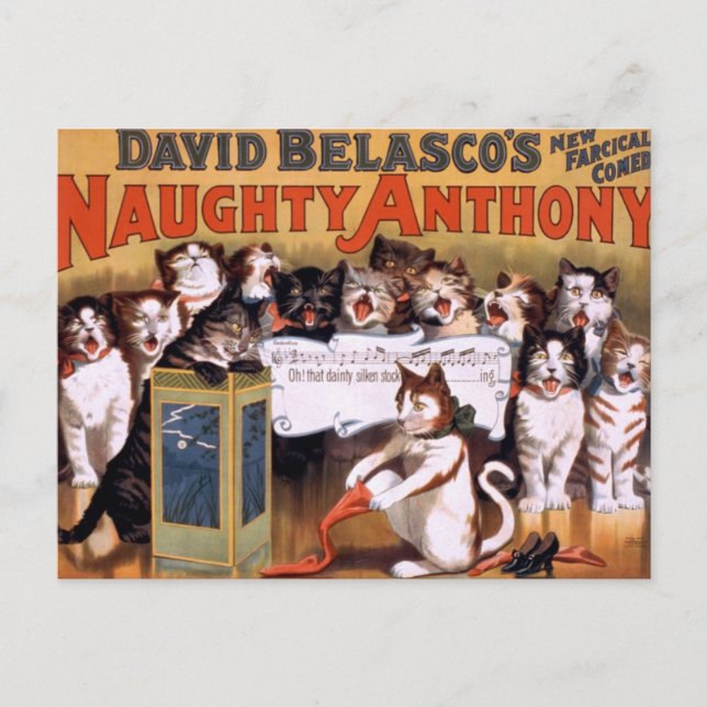 Vintage Cats Postcard (Front)