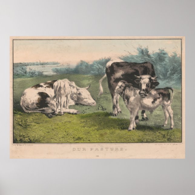 Vintage Cattle Farm Illustration (1856) Poster (Front)
