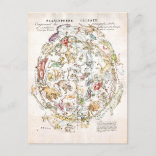Vintage Celestial Map Postcard