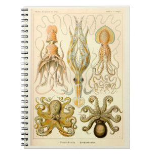 Vintage Cephalopods Spiral Notebook