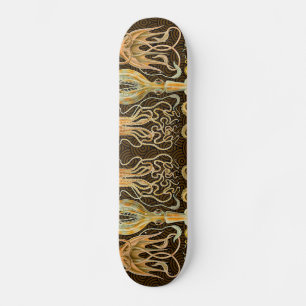 Vintage Cephalopods Squid Octopus Skateboard