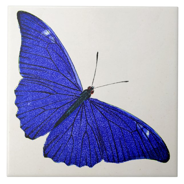 Vintage Cerulean Blue Butterfly 1896 Template Tile (Front)
