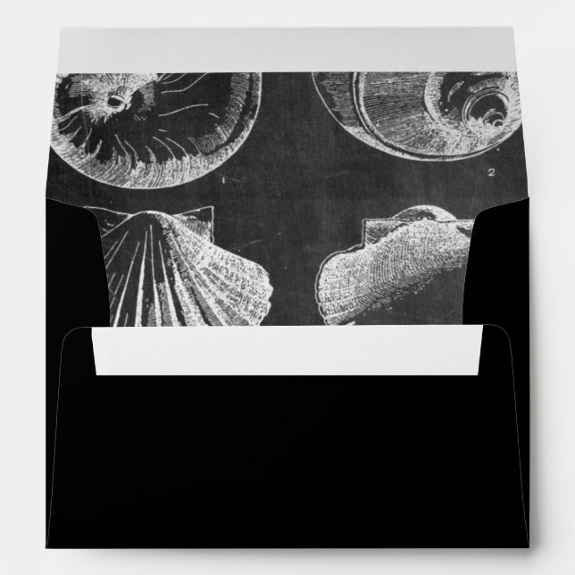 vintage chalkboard beach french country seashells envelope (Back (Bottom))
