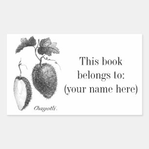 Vintage chayote etching bookplate rectangular sticker