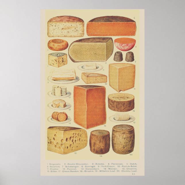 Vintage cheese chart illustration cheese menu (Front)