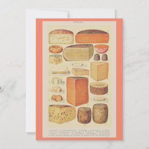 Vintage cheese chart illustration cheese menu