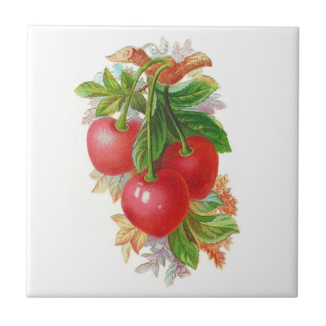 Vintage Cherries Tile (Front)